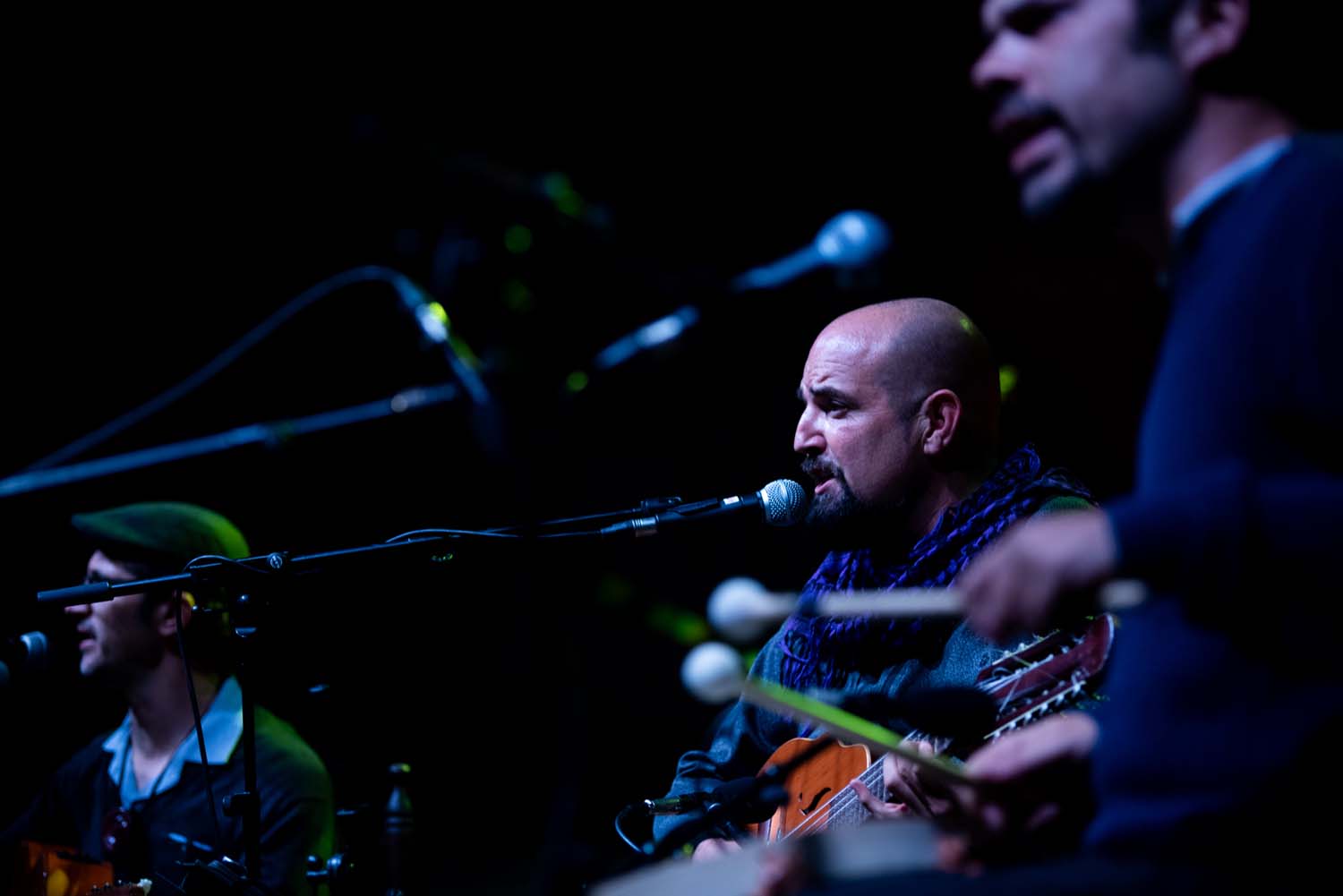 Los Malagatos (7º Festival Flamenco Rosa Fina de Casares, 2024)