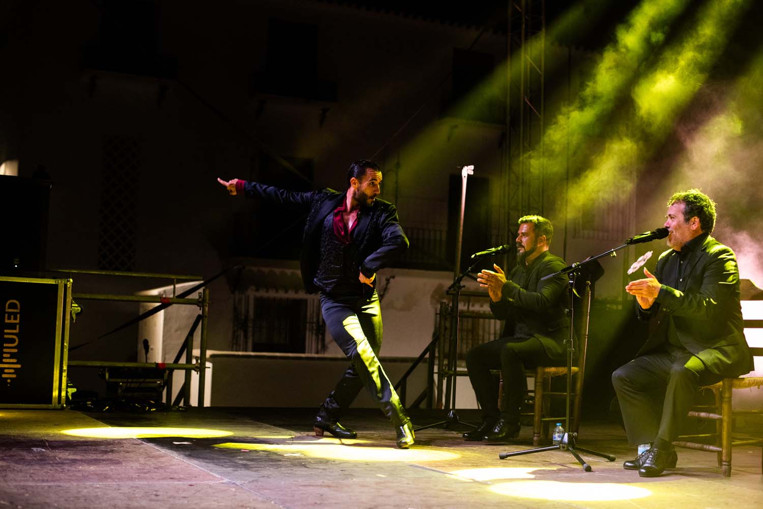 Rafael Ramírez, Curro de María, Miguel Ortega y José Manuel Fernández (Casares, 2024)