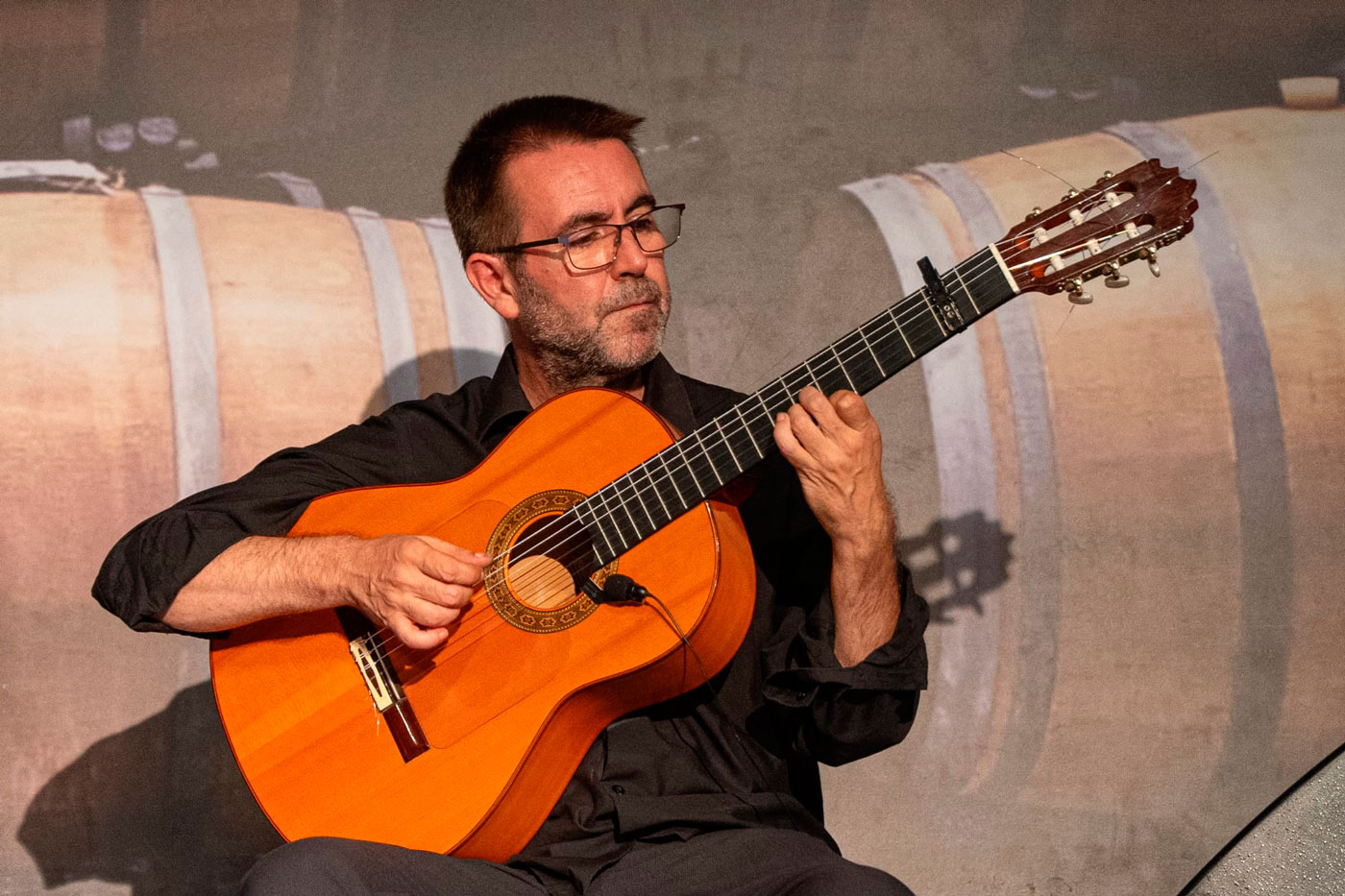 José Fernández (La reunión flamenca de Casares, 2025)